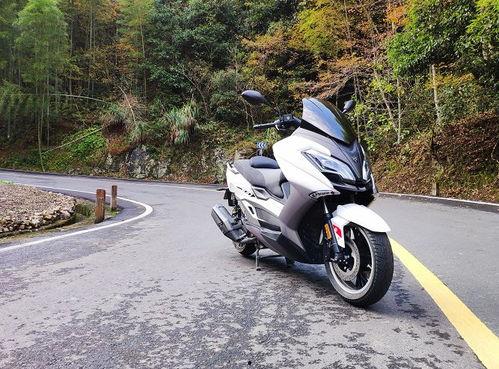 国产大踏板视频,性能与魅力的完美融合  第1张